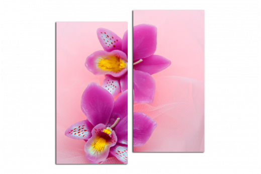 Модульная картина Орхидея на розовом фоне